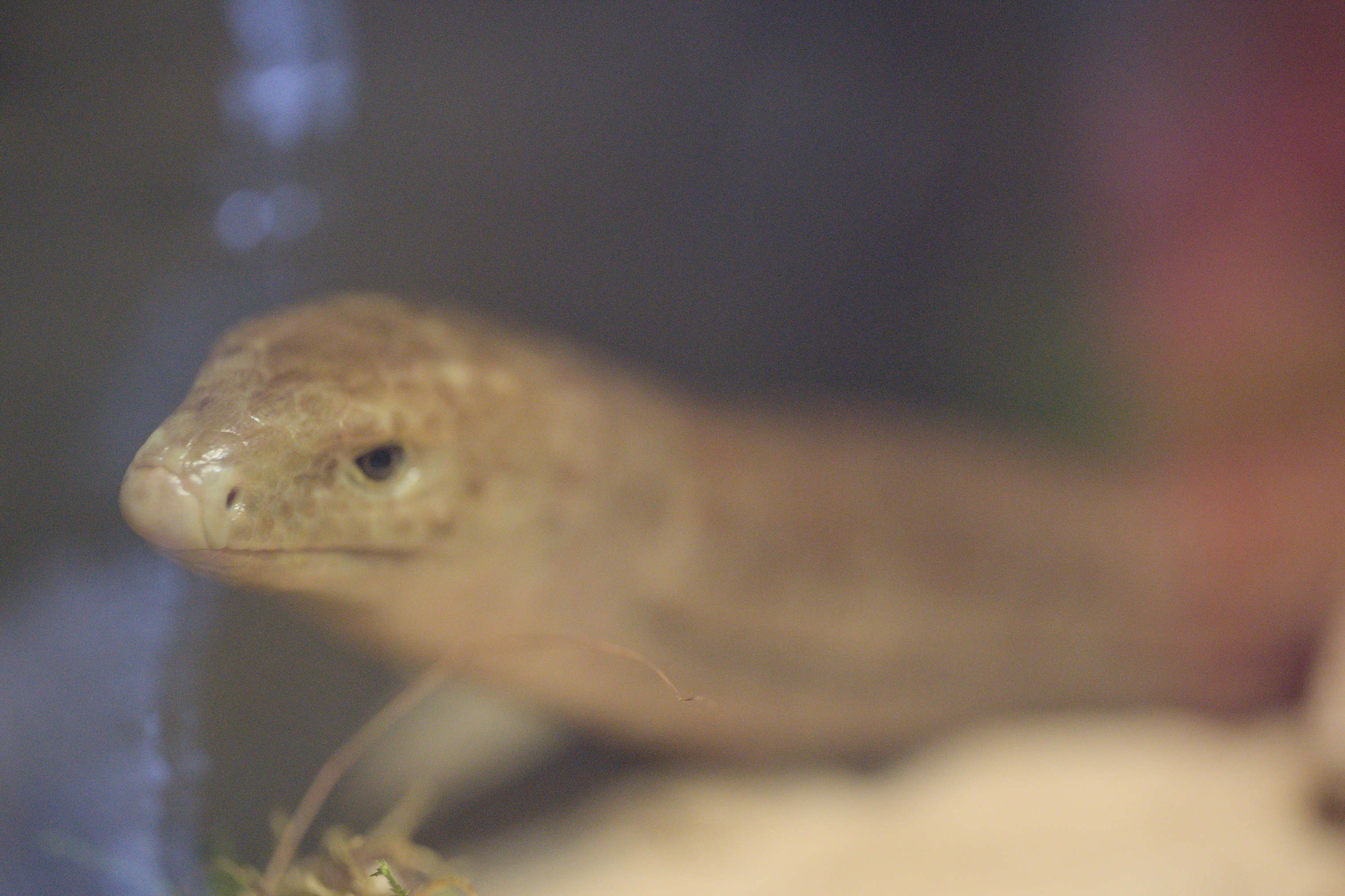 2025/10/12 - zoo/DSC_0180.jpg